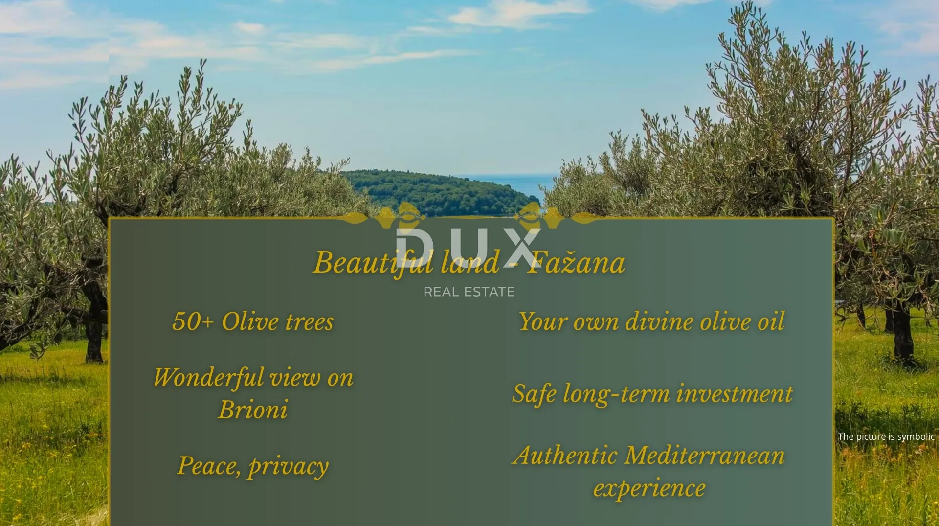 ISTRA, FAŽANA - Predivan maslinik - PRILIKA!