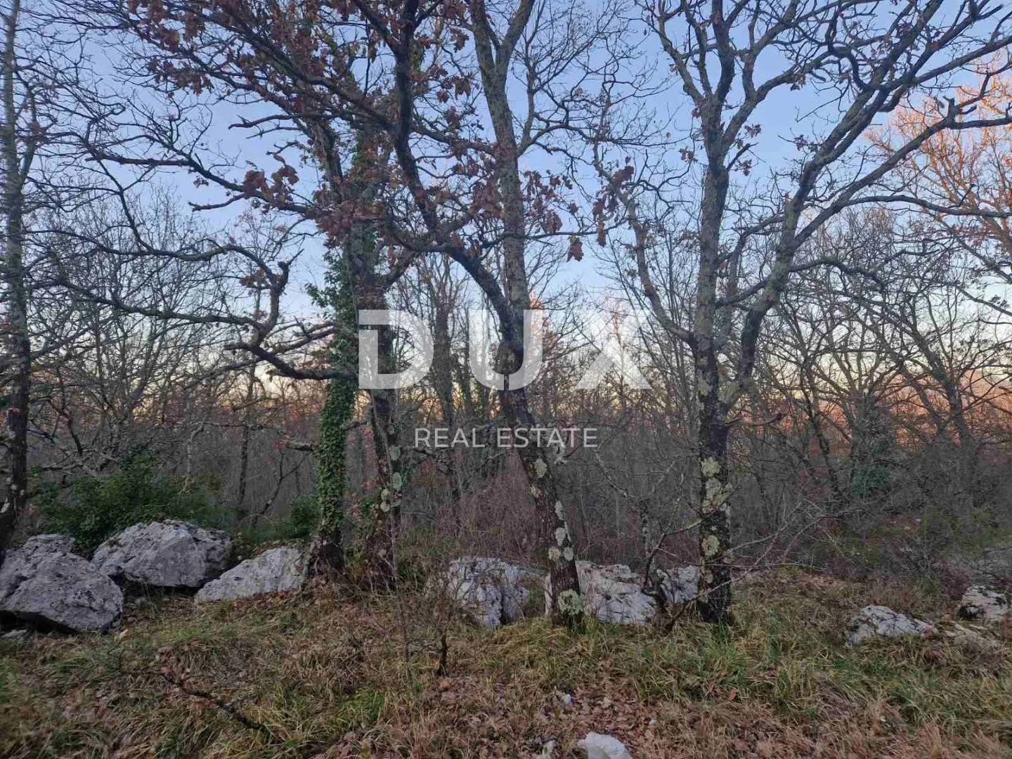 istra, labin - hrastova šuma za siječu 21.304m2, prilika - slika 9