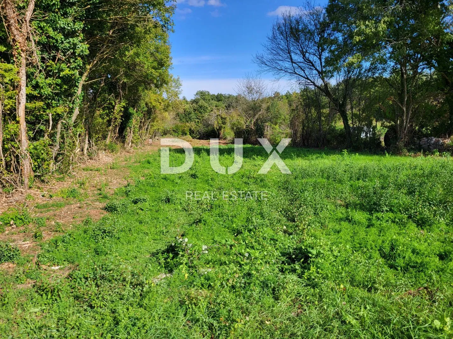 istra, barban - zemljište s građevinskom dozvolom - slika 5