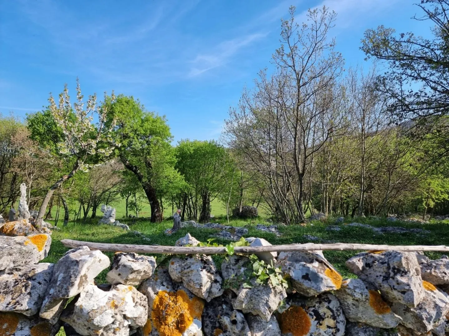 istra, rabac - prostrano imanje na očaravajućoj lokaciji - slika 19