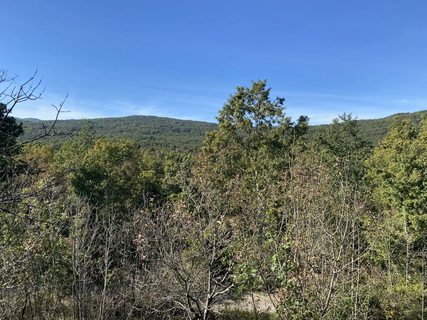opatija, brgud - zemljište 4.348 m2 - slika 2