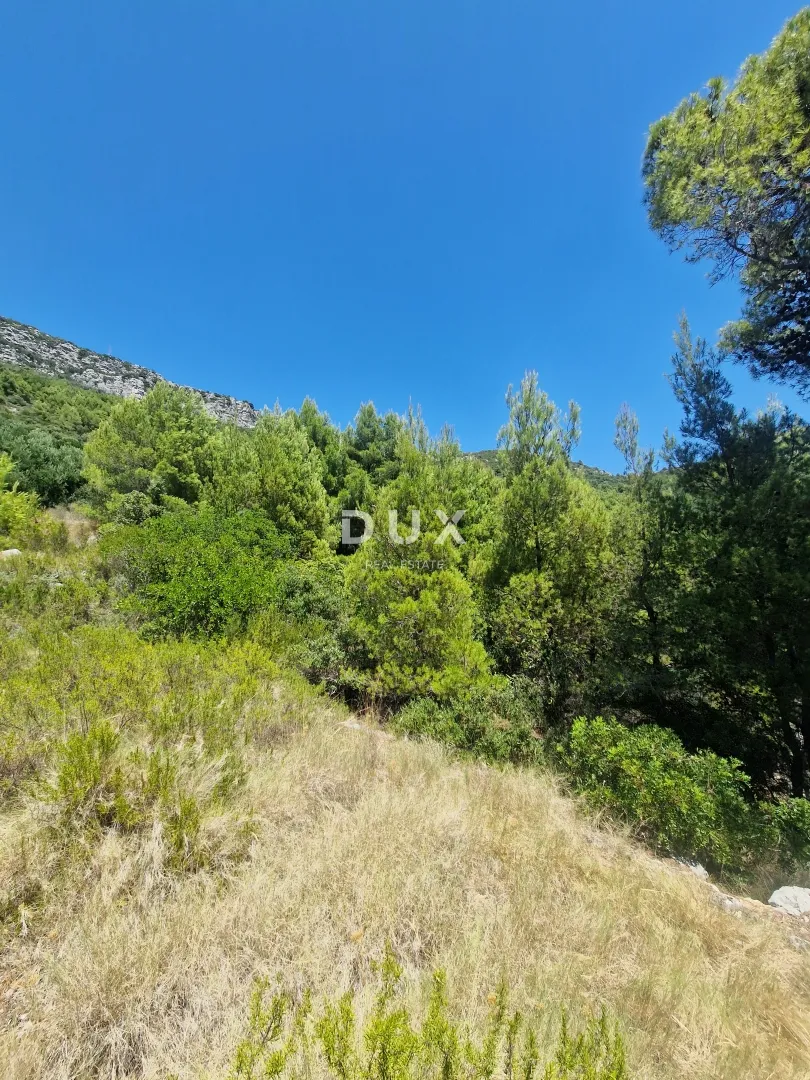 pelješac, popova luka, poljoprivredno zemljište 190.000m² - slika 2