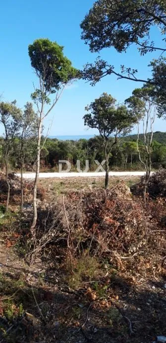 istra,krnica - poljoprivredno zemljište u blizini mora - slika 6