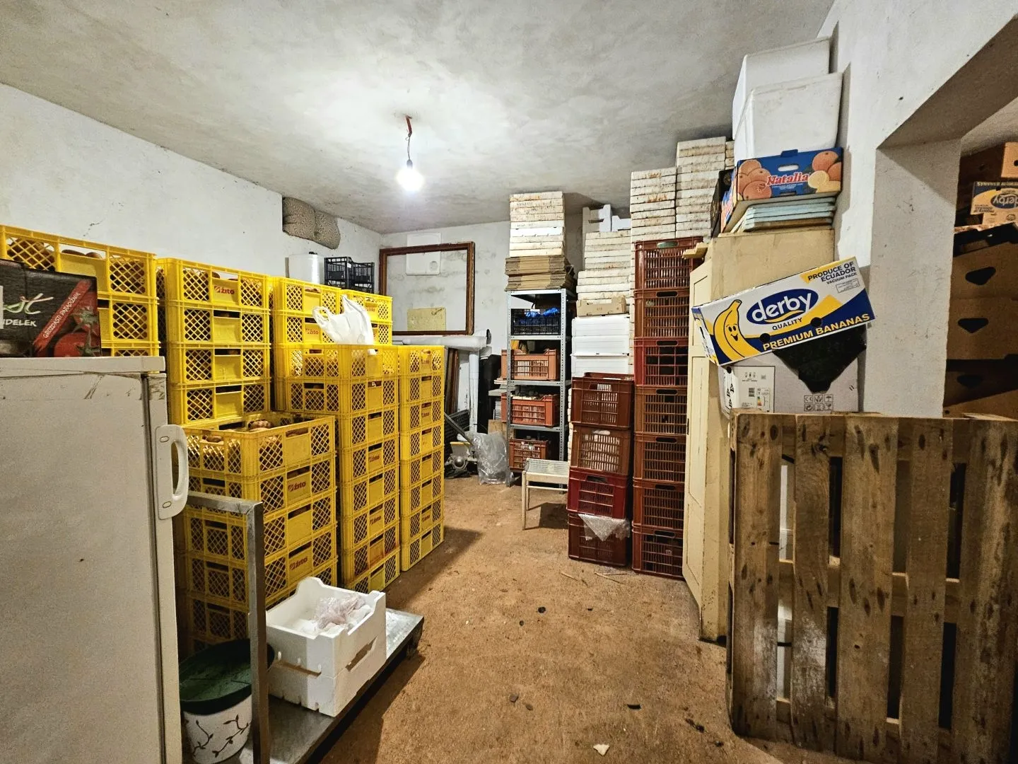 istra, umag - neponovljiva privatna stancija smještena u prirodnoj oazi - slika 66