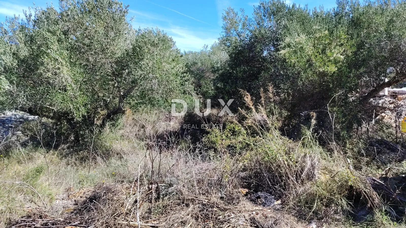 DUGI OTOK, BOŽAVA - PRILIKA! Građevinsko zemljište 130 m od mora! - Božava, Sali