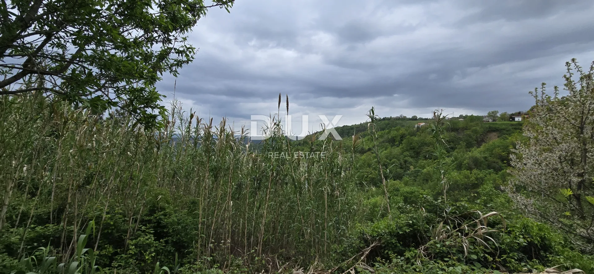 istra, motovun - kamena kuća s pogledom za adaptaciju - slika 21