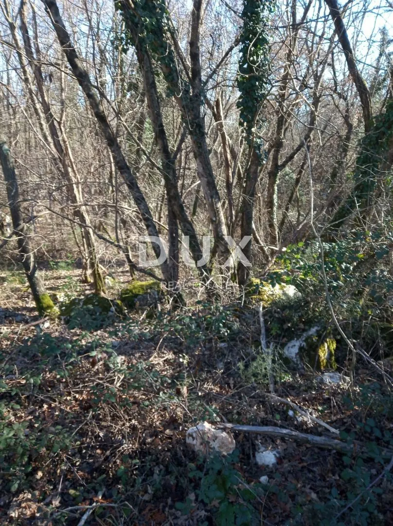 istra, kršan, poljoprivredno zemljište sa šumom - slika 7