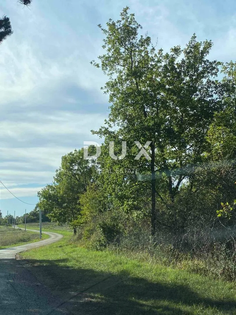 istra, lovreč - građevinsko zemljište okruženo prirodom - slika 3