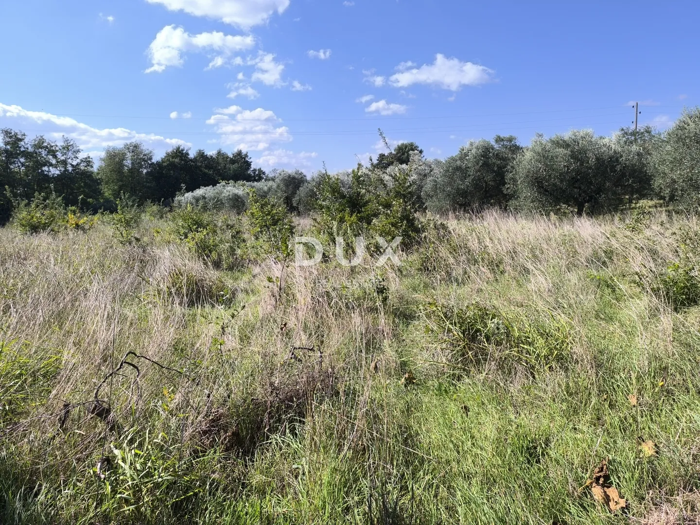 istra, pula - građevinsko zemljište + maslinik 5800 m2 - slika 9
