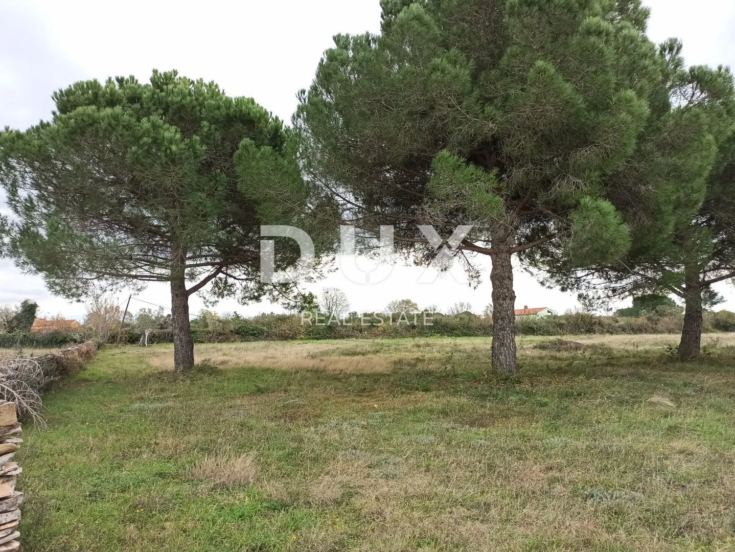 ISTRA, GALIŽANA Poljoprivredno zemljište na rubu urbanizacije 4478 m2 - Galižana, Vodnjan