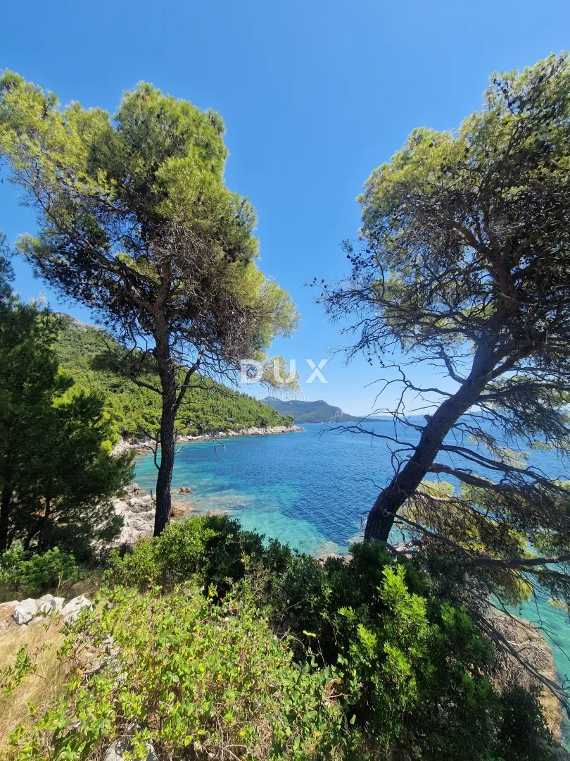 pelješac, popova luka, poljoprivredno zemljište 190.000m² - slika 5