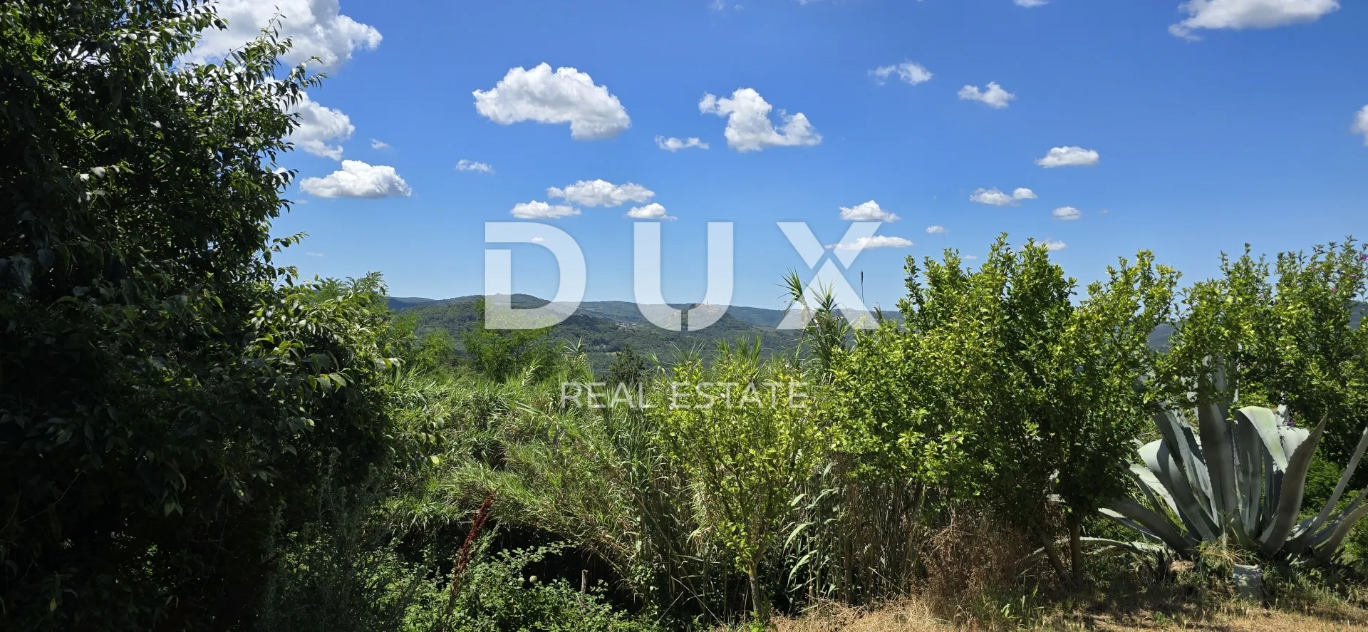 istra, motovun, imanje, 170.416 m2 - slika 42