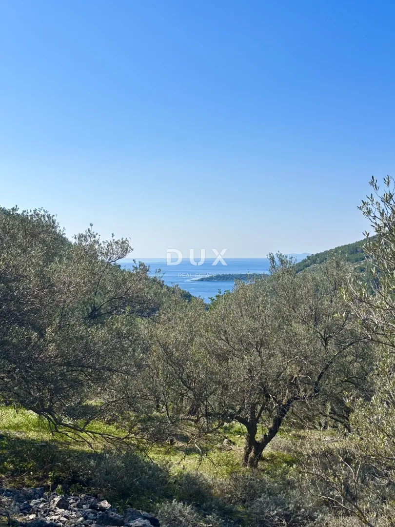korčula, gršćica - zemljište sa pogledom na more - slika 3