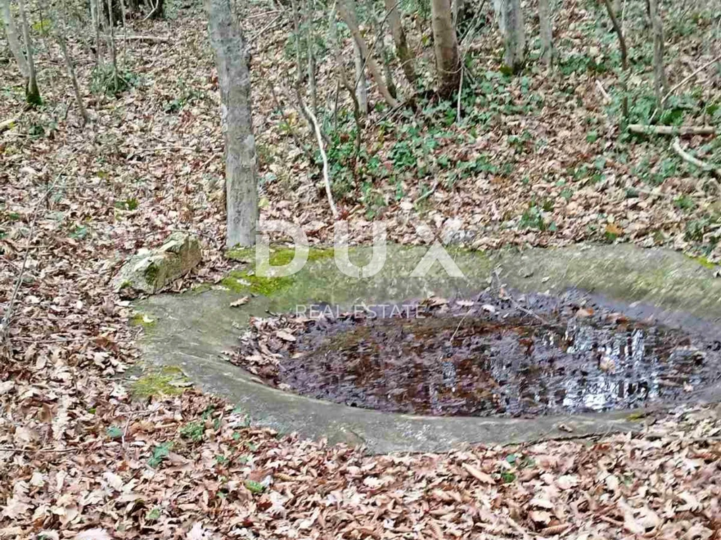istra, barban - prostrano zemljište - slika 16