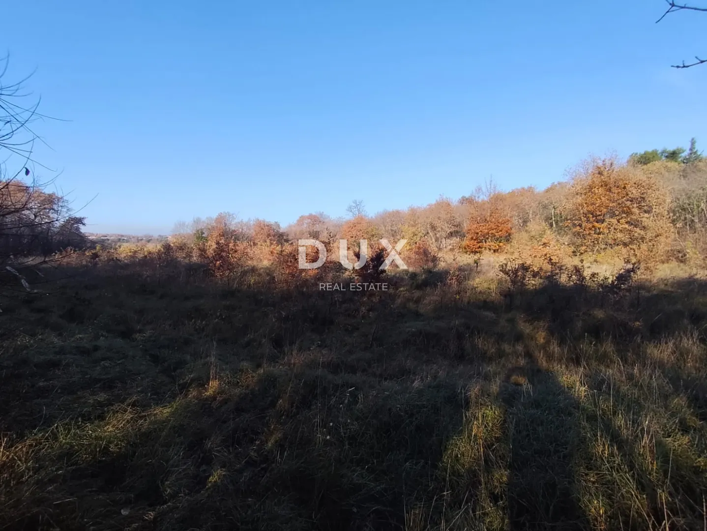 istra, savudrija - poljoprivredno zemljište u idiličnom okruženju - slika 4