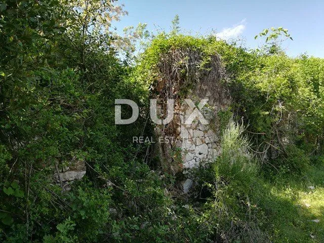 istra, duga luka- ruševina udaljena 300m od mora - slika 10