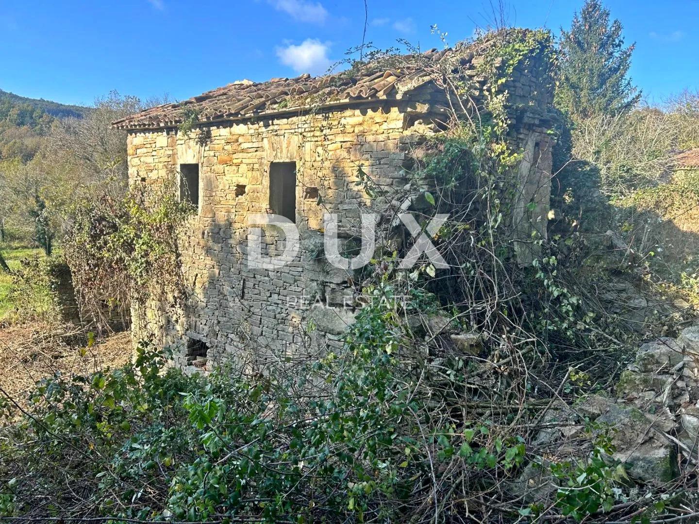 istra, cerovlje - samostojeća ruševna kuća s velikom okućnicom - slika 6