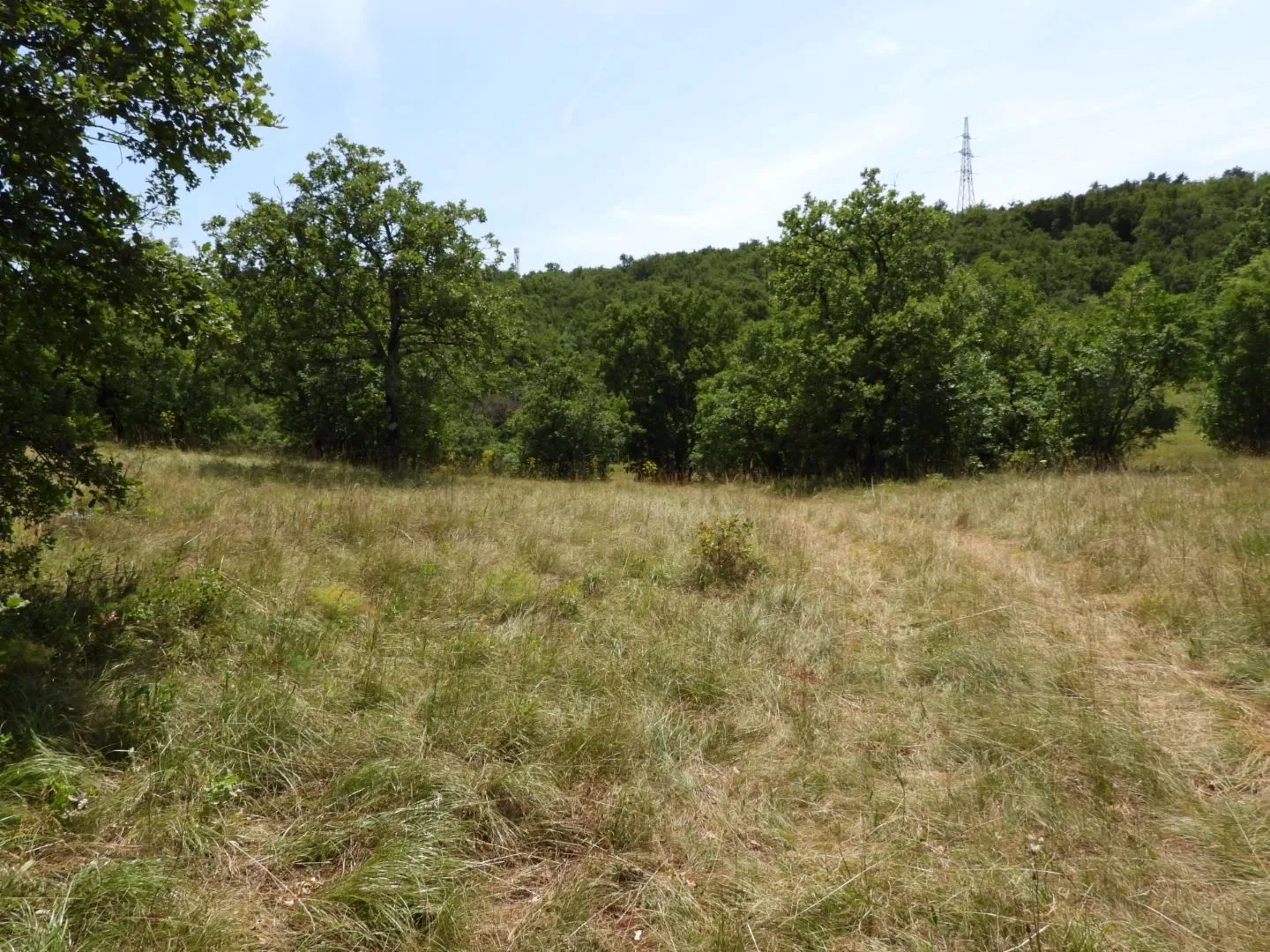 kukuljanovo industrijska zona - građevinski teren 4570m2 za halu / poslovnu zgradu - slika 6