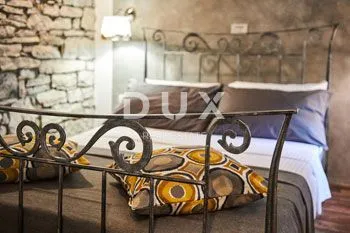 istra, buje - poslovno-stambeni objekt s uhodanim poslom - slika 20