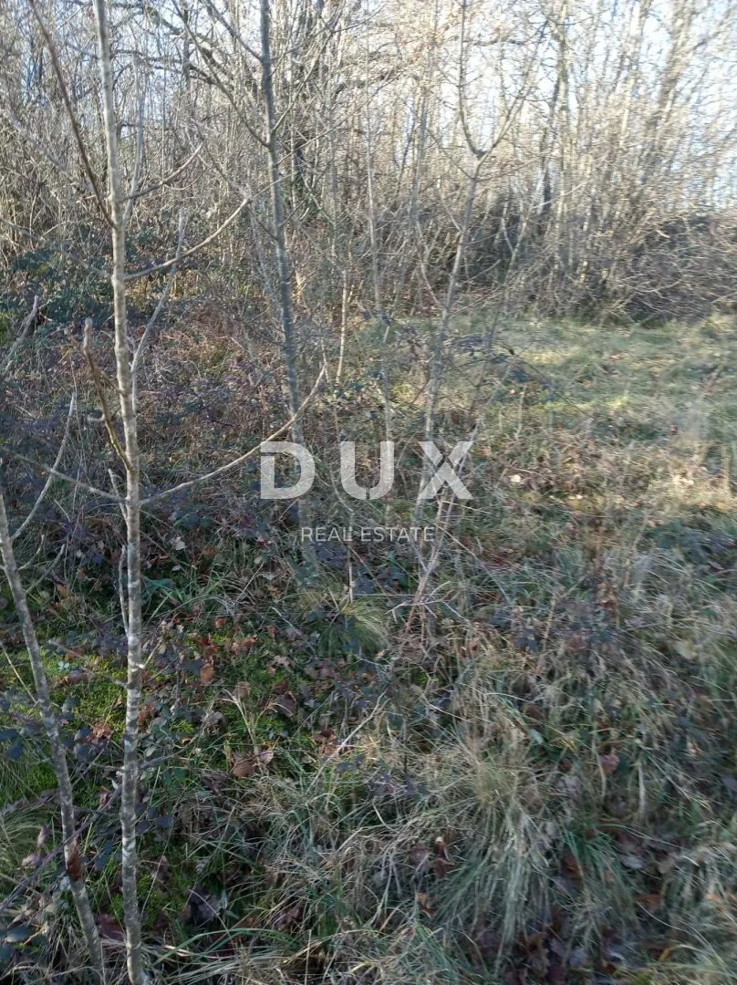 istra, kršan, poljoprivredno zemljište sa šumom - slika 2