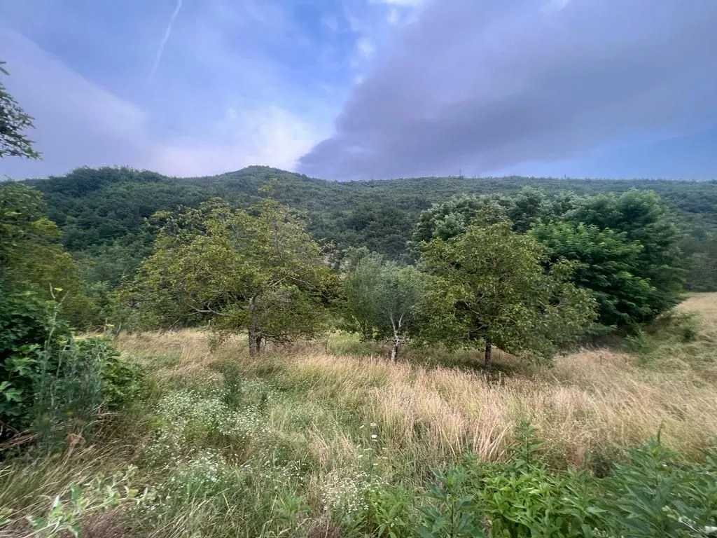 istra, sovinjak - ruševina + zemljište 57.356 m2 - slika 18