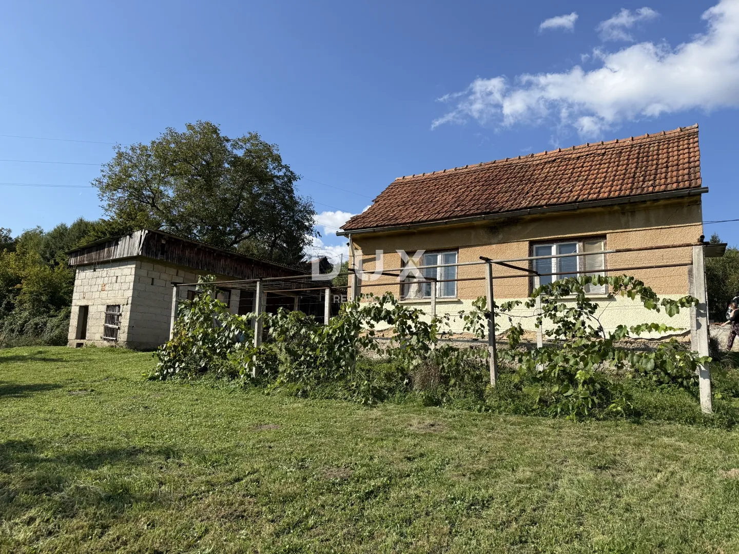 karlovac, velika jelsa - imanje sa velikim potencijalom - slika 3