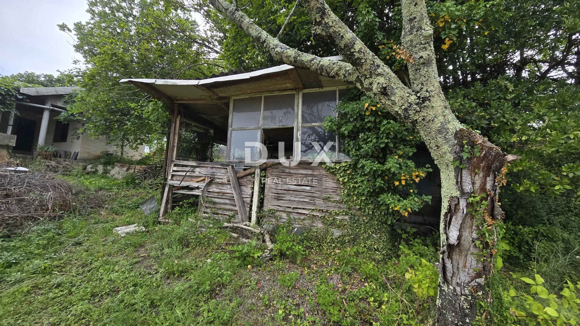 istra, labin – kućica u prirodi, potpuna osama s velikom okućnicom - slika 29