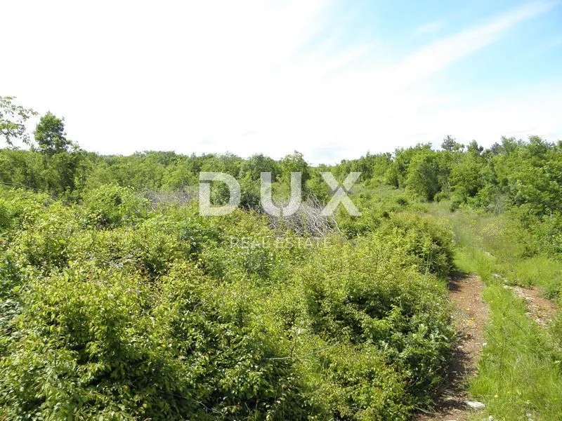 istra, labin - poljoprivredno zemljište 44000m2 sa ruševnim objektom - slika 5