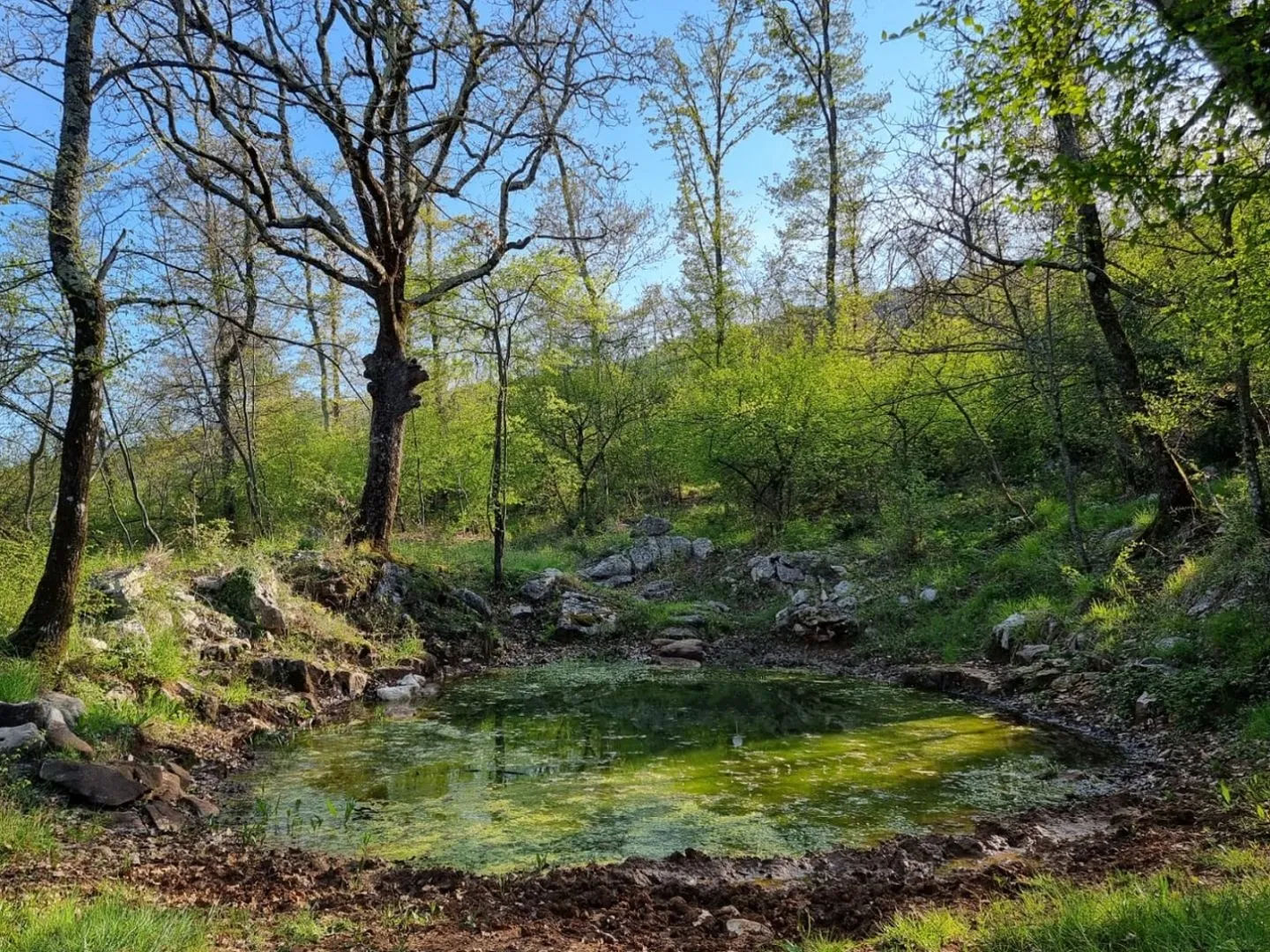 istra, rabac - prostrano imanje na očaravajućoj lokaciji - slika 16