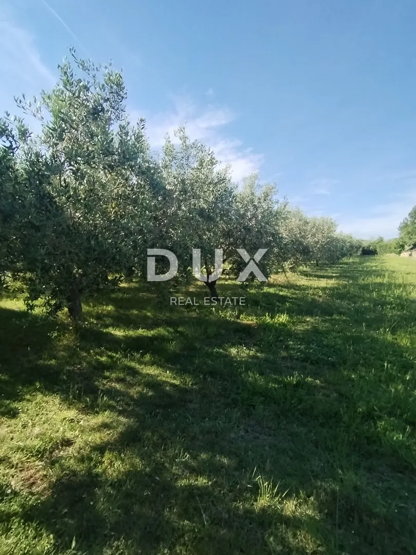 istra, medulin - poljoprivredno zemljište 1508 m2 - slika 7