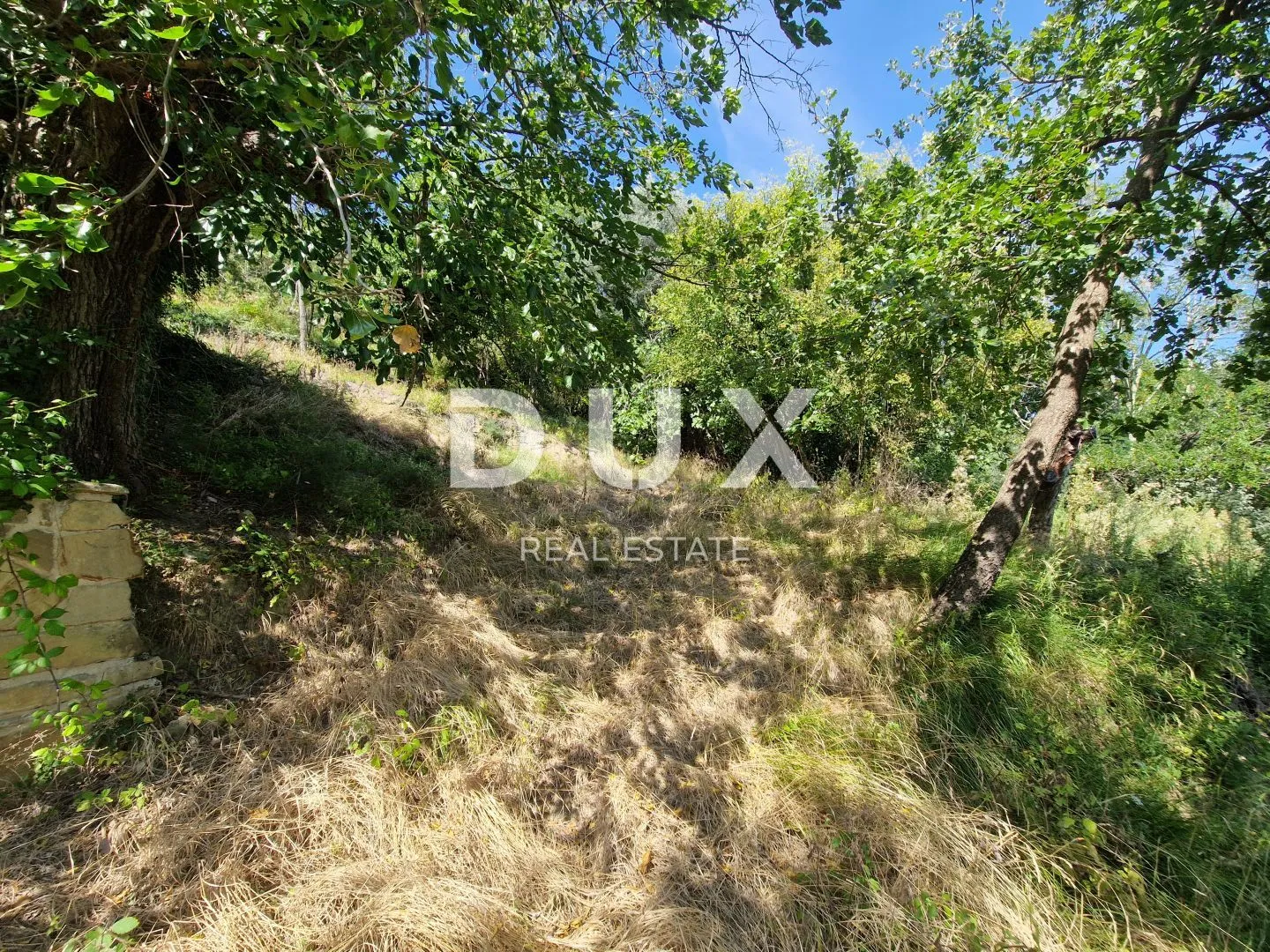 istra, oprtalj - kamena starina s panoramskim pogledom na zelenilo - slika 29
