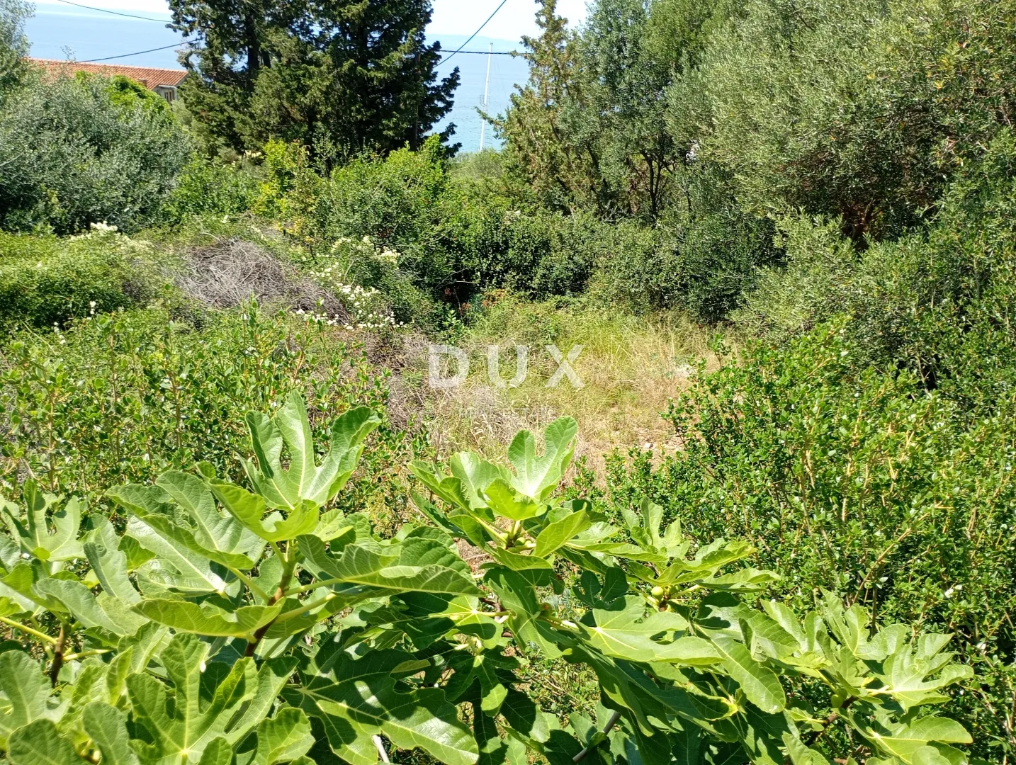 otok pag, lun - građevinsko zemljište 622 m2 - slika 8