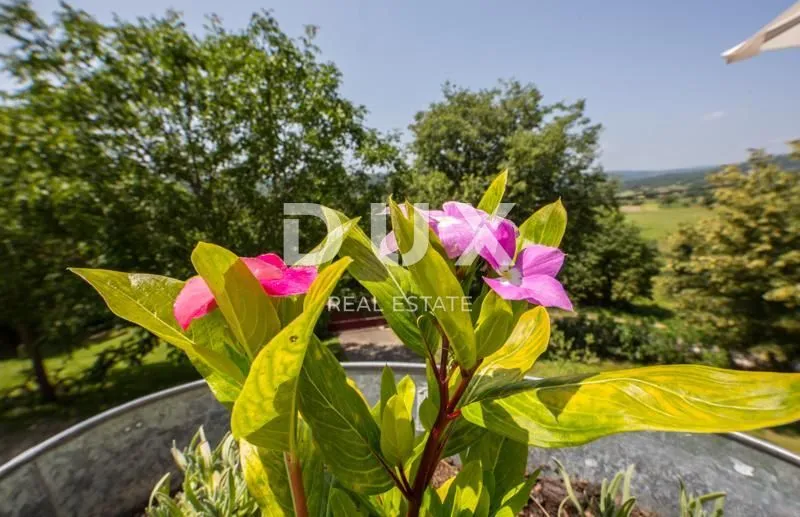 dvije prekrasne vile s bazenom na prostranoj okućnici - slika 45
