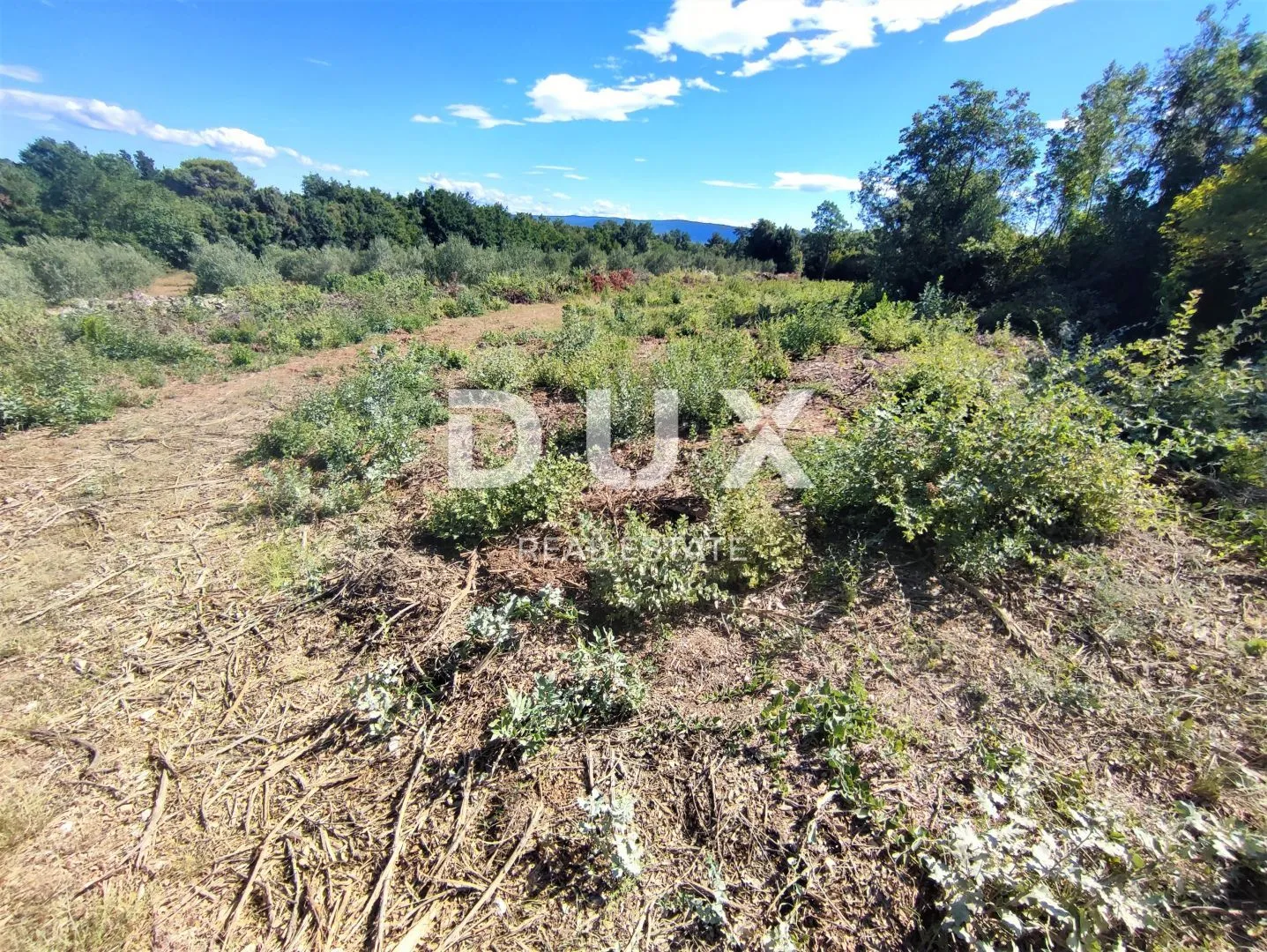 istra, peruški - poljoprivredno zemljište 2118 m2 - slika 4