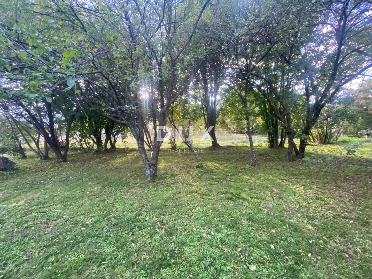 rijeka, kastav - samostojeća kuća i dvorišna zgrada + 761 m2 okućnice! prilika! - slika 21