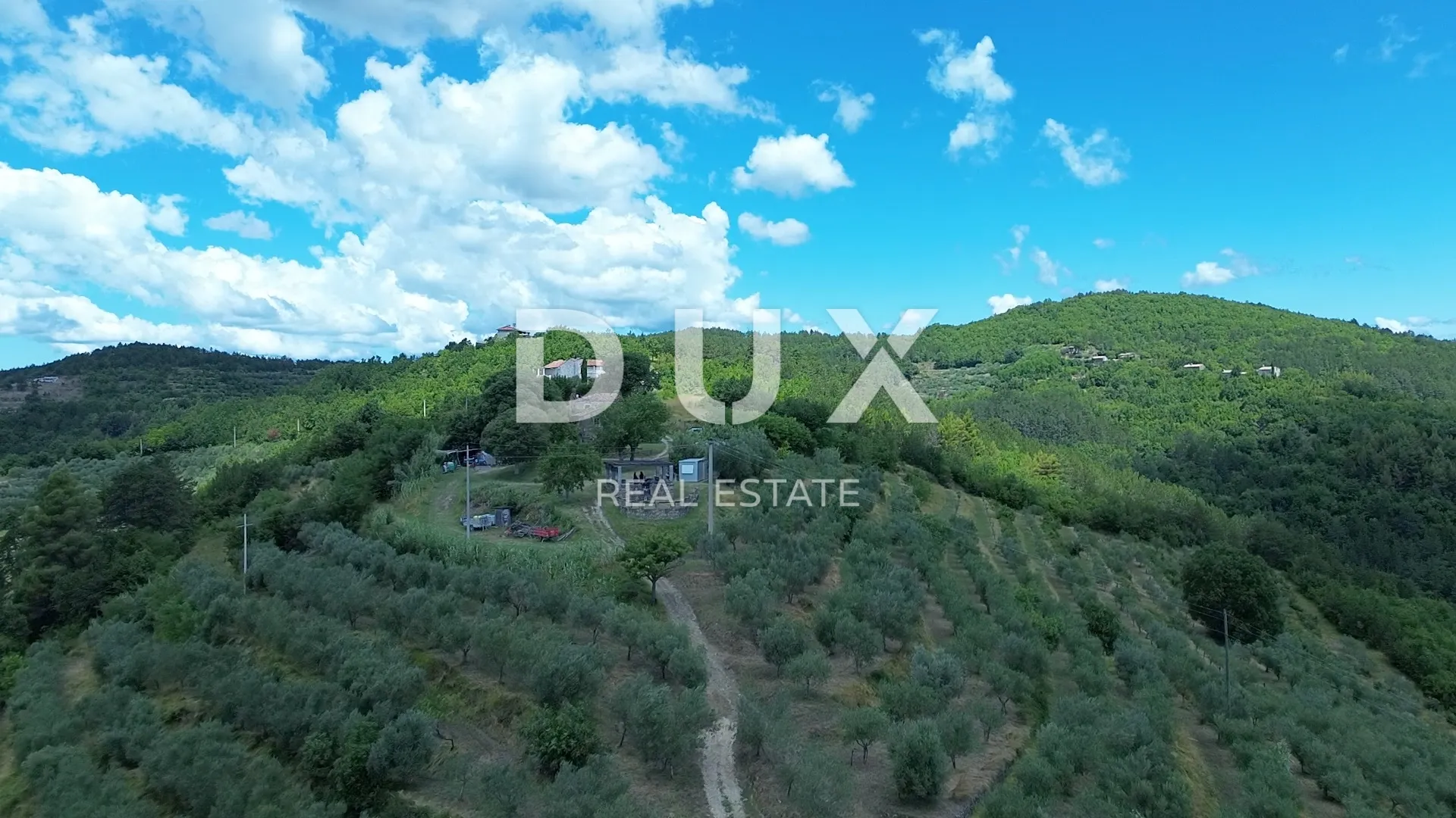 istra, motovun, imanje, 170.416 m2 - slika 10