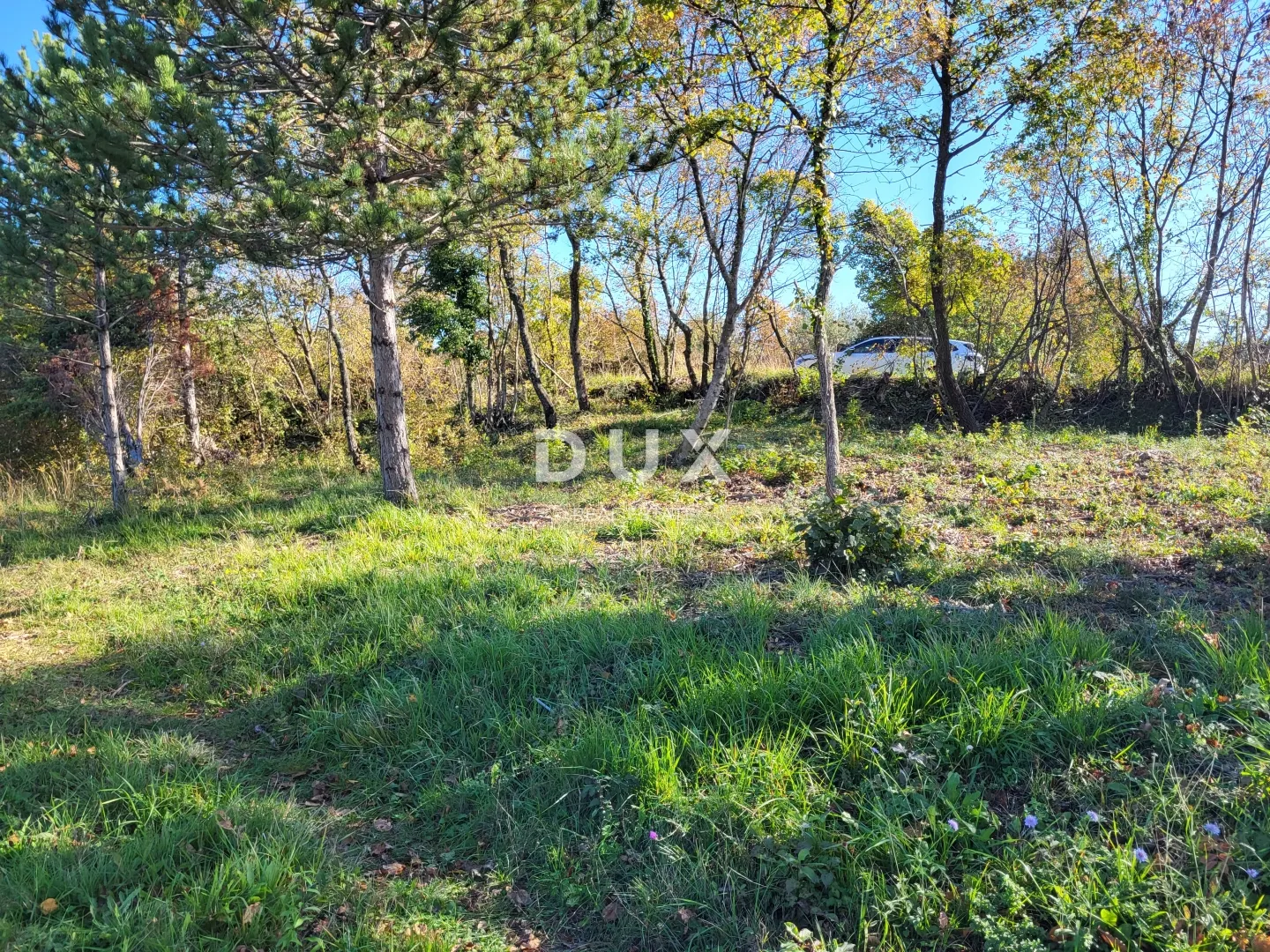 istra, grožnjan - građevinsko zemljište s otvorenim pogledom na more i okolicu - slika 8