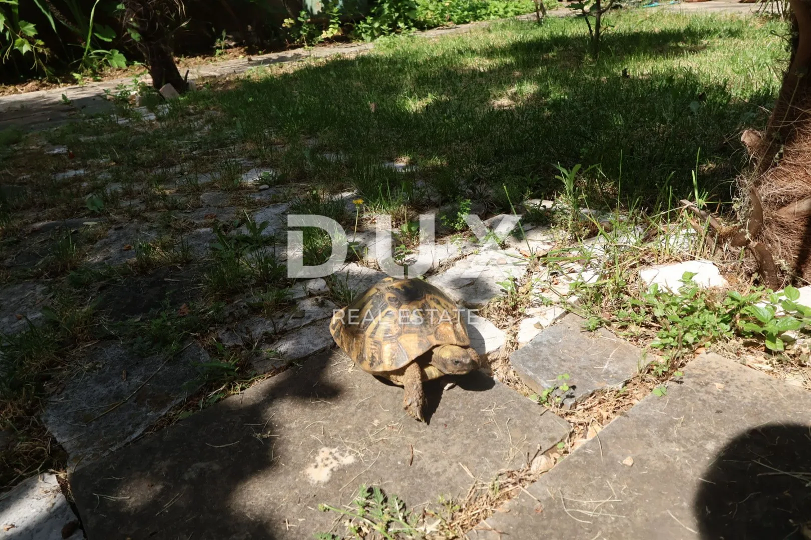 rijeka, pećine - samostojeća vila s pogledom na more - slika 47