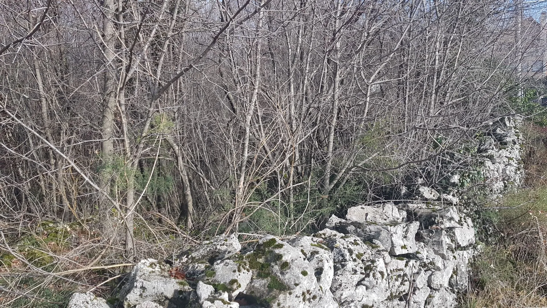srdoči - rešetari - kastav- građ zemljište 1900m2 za stambenu (posl.-stamb) zgradu–stanove /apartmane /obiteljsku kuću / villu - slika 6