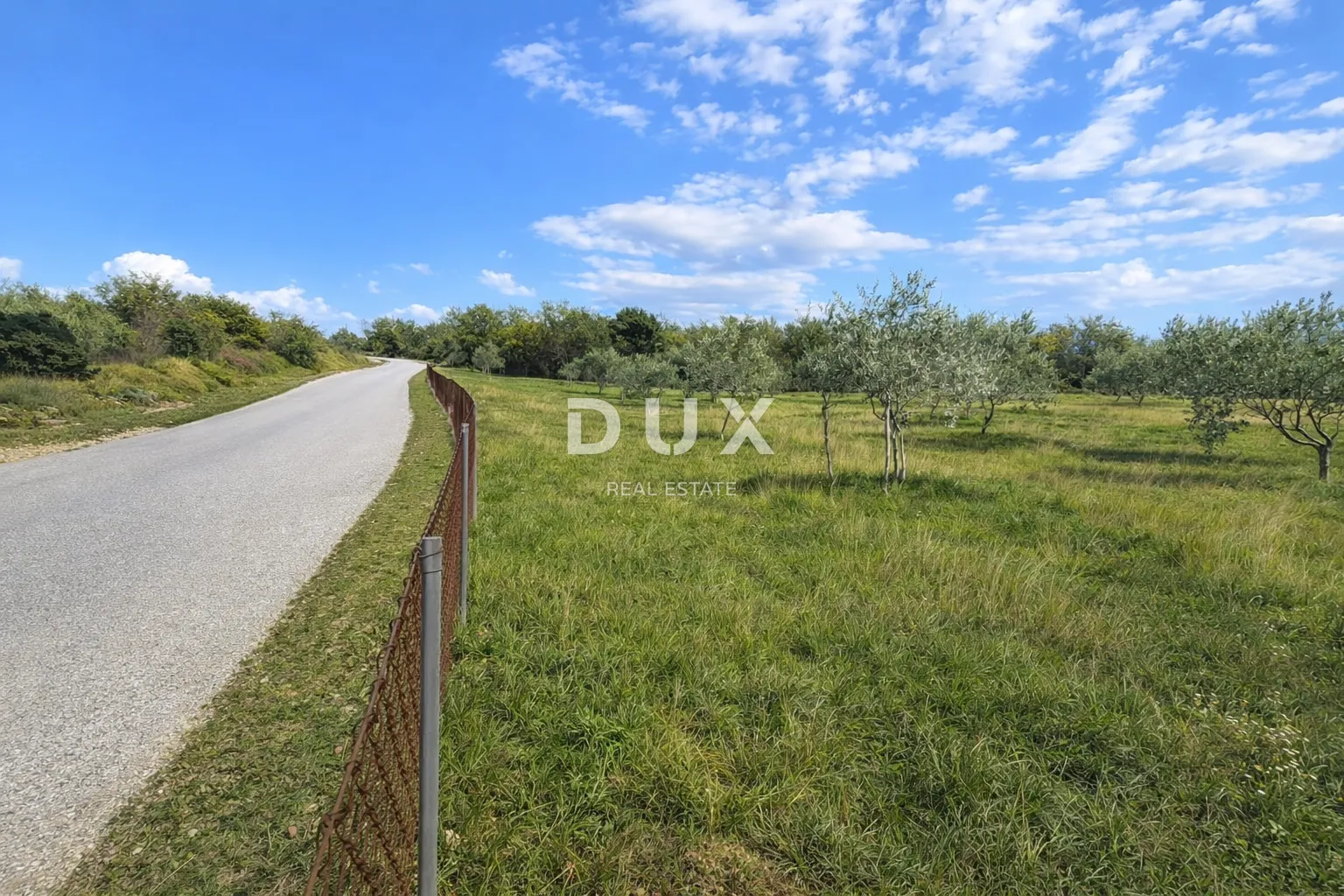 istra, vodnjan - autentičan maslinik s dušom - slika 3