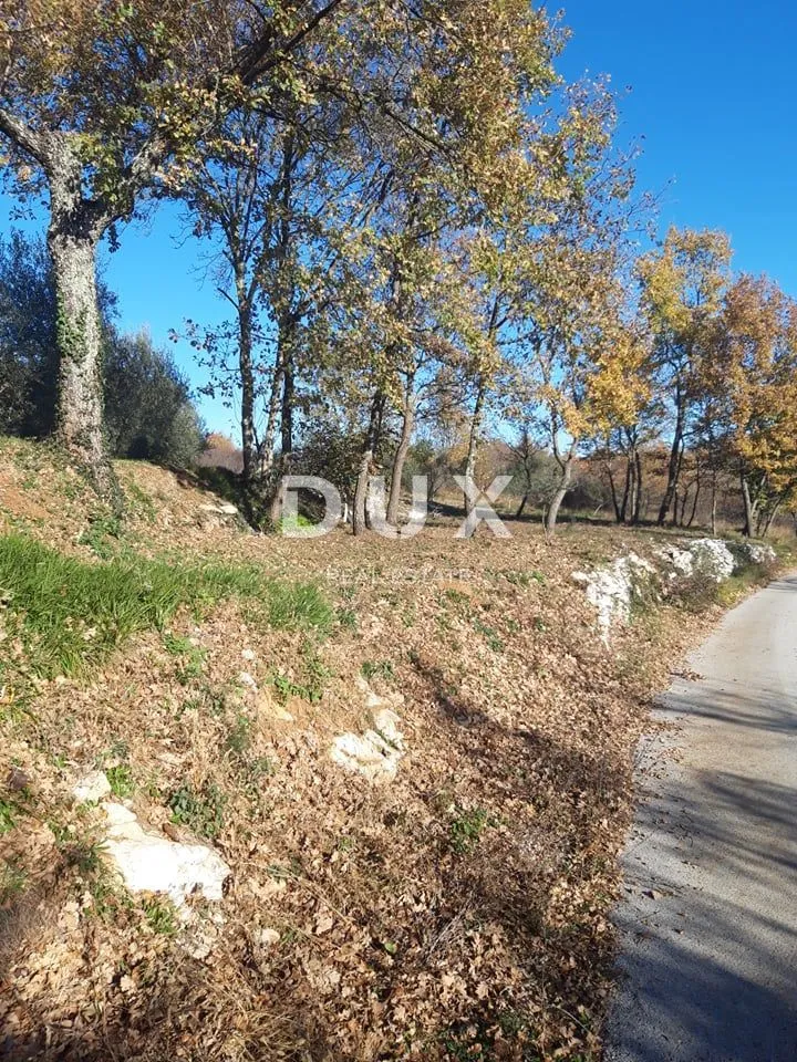 istra, buzet - kompleks zemljišta - slika 4