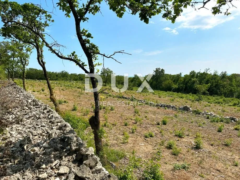 LABIN, SV. LOVREČ, VLAKOVO - građevinski teren 8600m2 za hotel /boutique hotel/ obiteljsku kuću/ villu/ apartmane/ kuću za iznajmljivanje sa bazenom/ kuću za odmor sa bazenom - Sveti Lovreč Labinski, Raša
