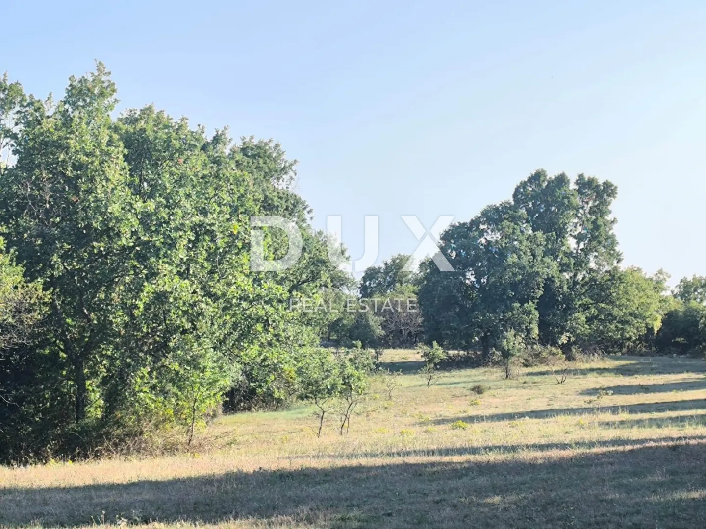 istra, svetvinčenat poljoprivredno zemljište za maslinik - slika 8