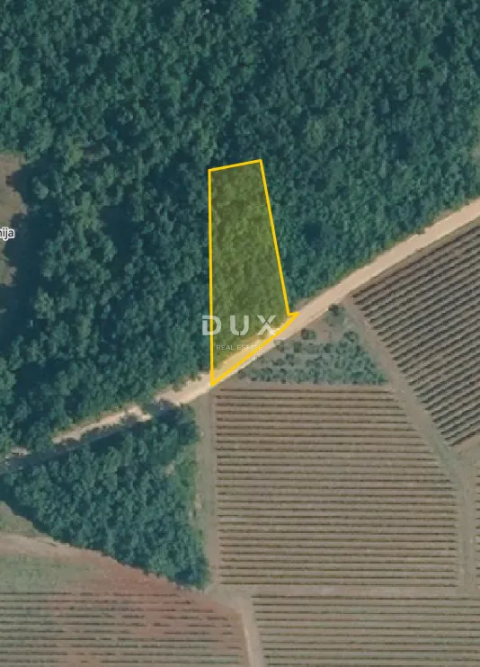 istra, višnjan - poljoprivredno zemljište - slika 2