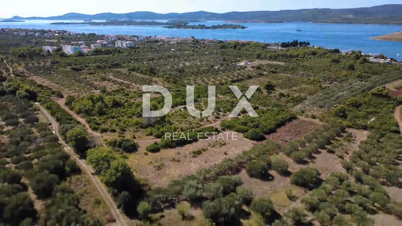 zadar, turanj - maslinik s 55 maslina - 3143m² - slika 4