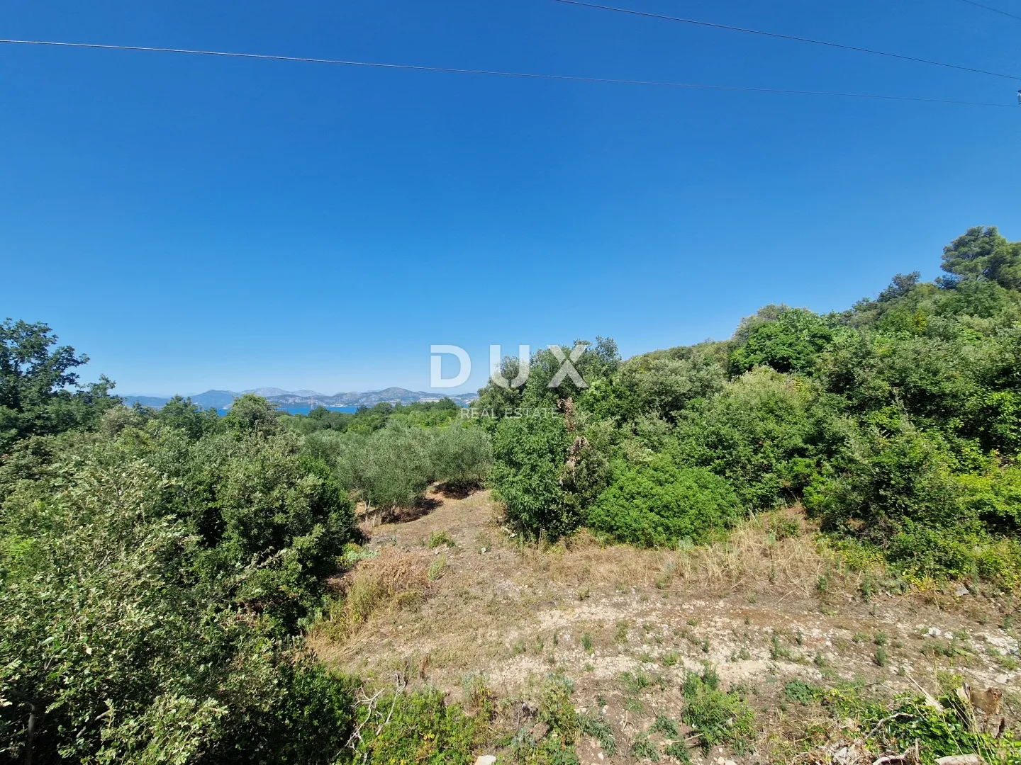 pelješac, popova luka, poljoprivredno zemljište 190.000m² - slika 10