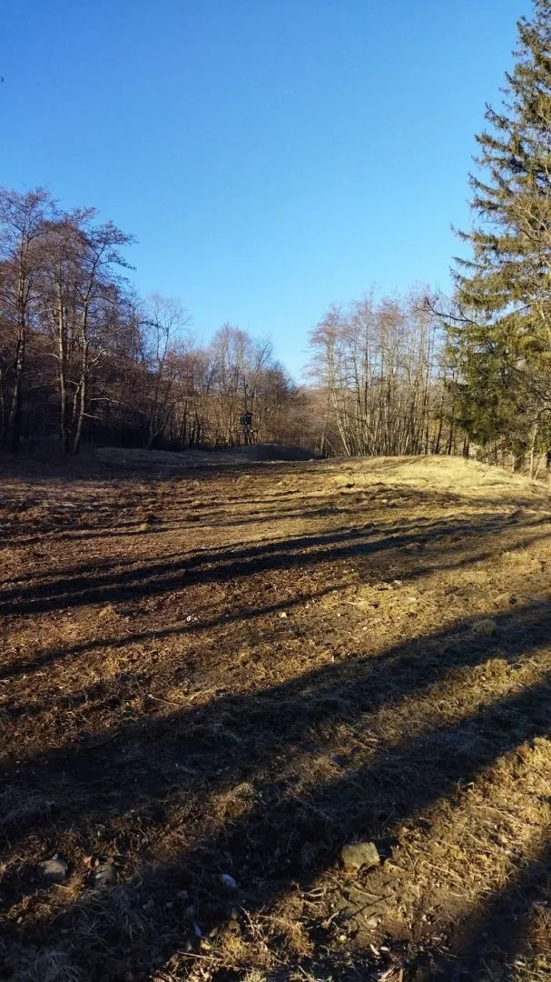 klana - zemljište u prirodi!!! 9.011 m2 - slika 2