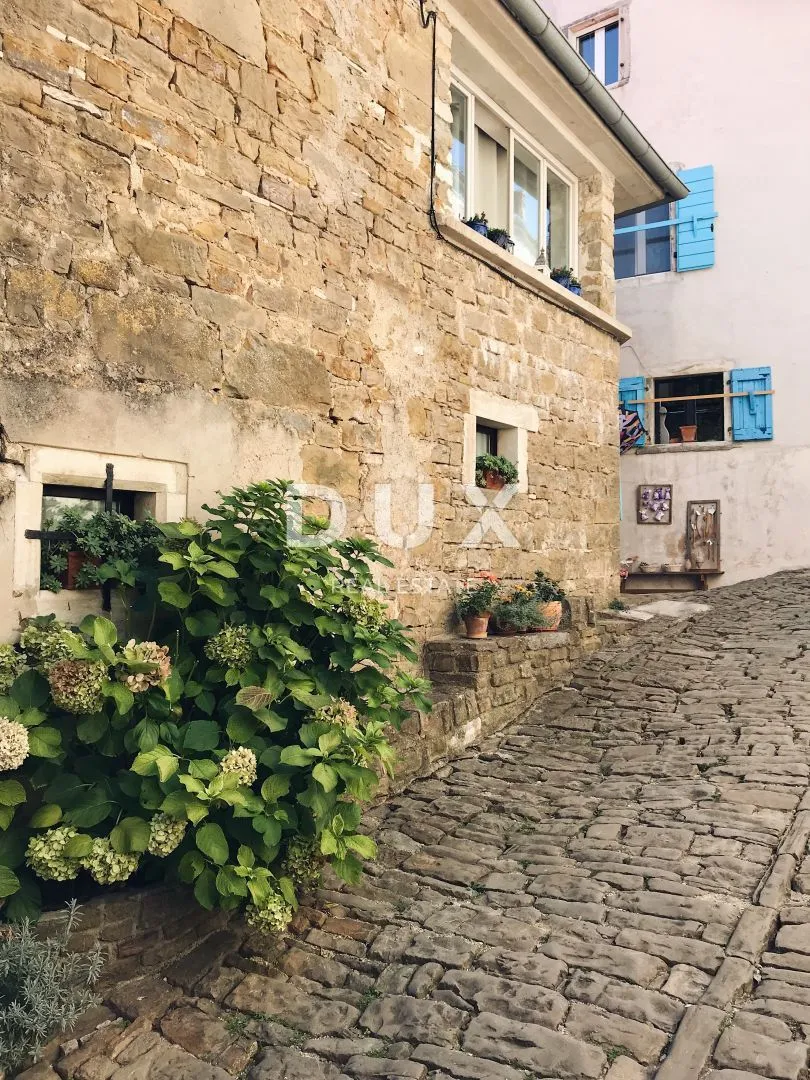 istra, oprtalj - autohtona kamena ljepotica s 3 apartmana - slika 53