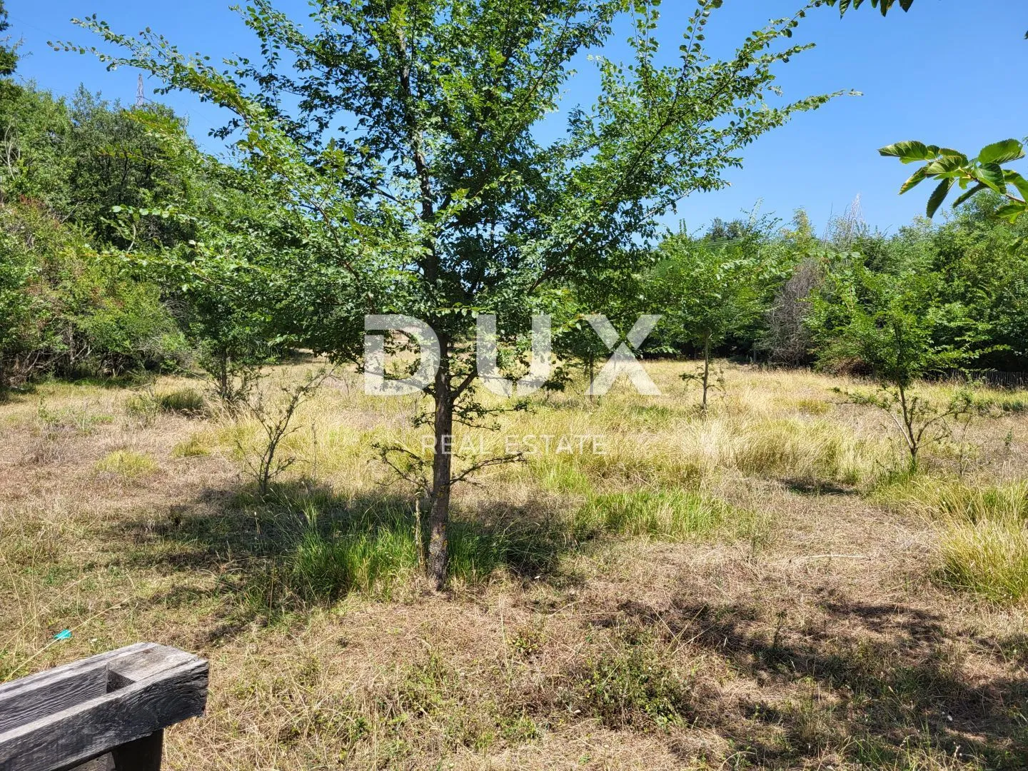 istra, brtonigla - prostrano poljoprivredno zemljište - slika 3