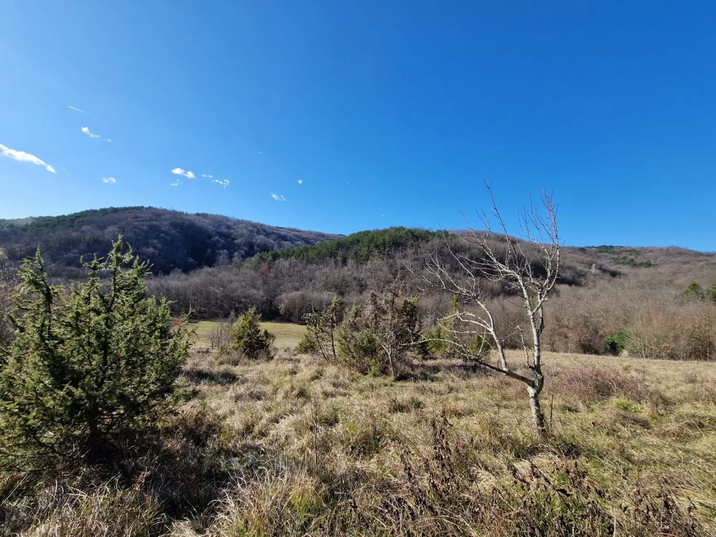 istra, pazin - imanje za obnovu - slika 27